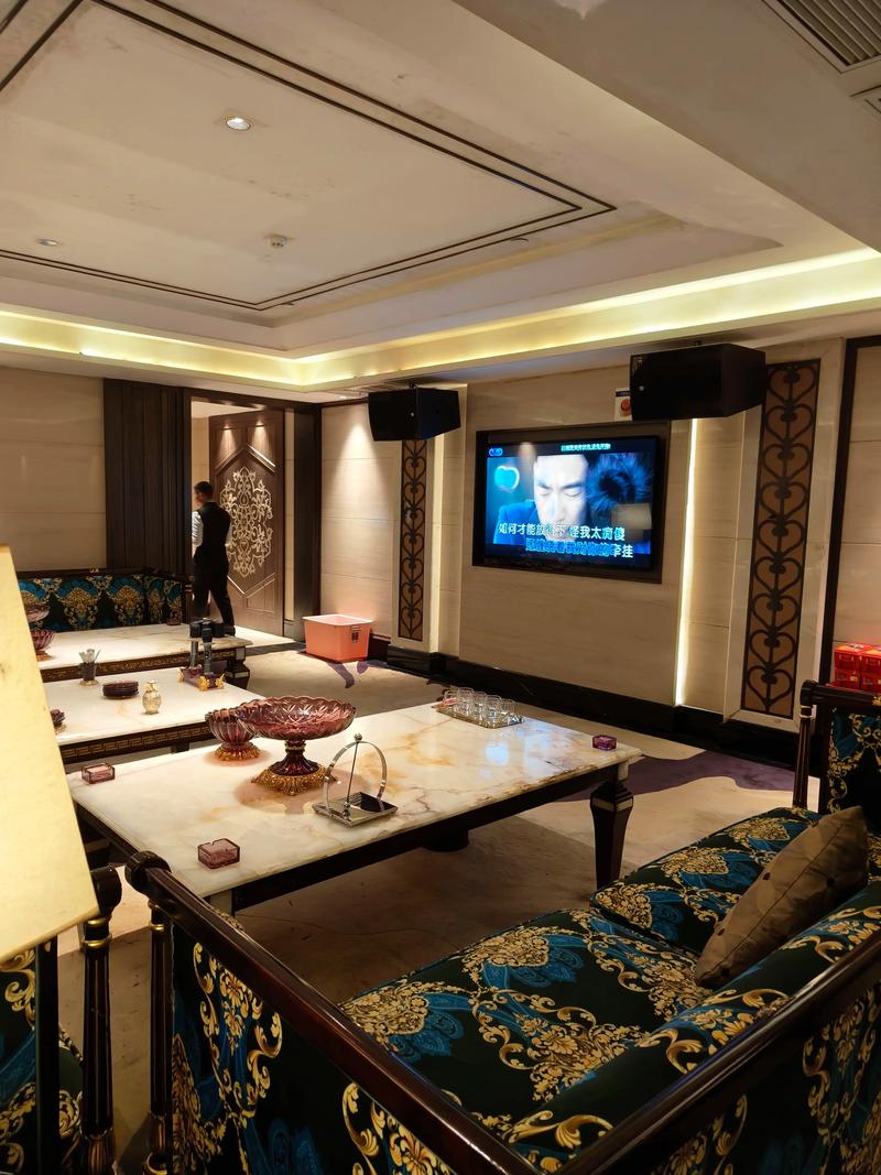 邯郸商务ktv怎么玩尽享商务乐趣-魏县ktv预定